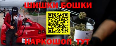 прущие грибы Рузаевка