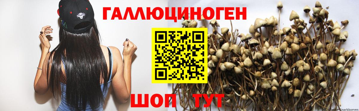 где найти наркотики  Галлюциногенные грибы прущие грибы  Вход с VPN  Пенза 